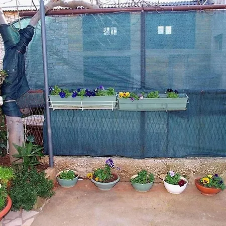 Fuer 3 Personen Ca 25 Qm In Rovinj, Istrien Istrische Riviera * Rovinj